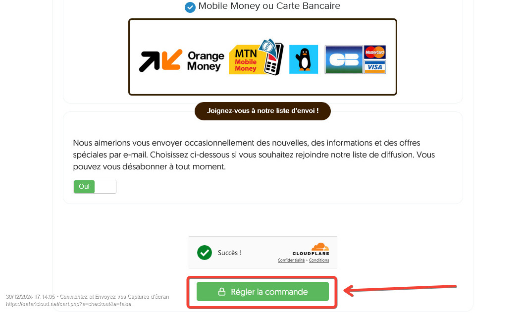 paiement nom de domaine .ci